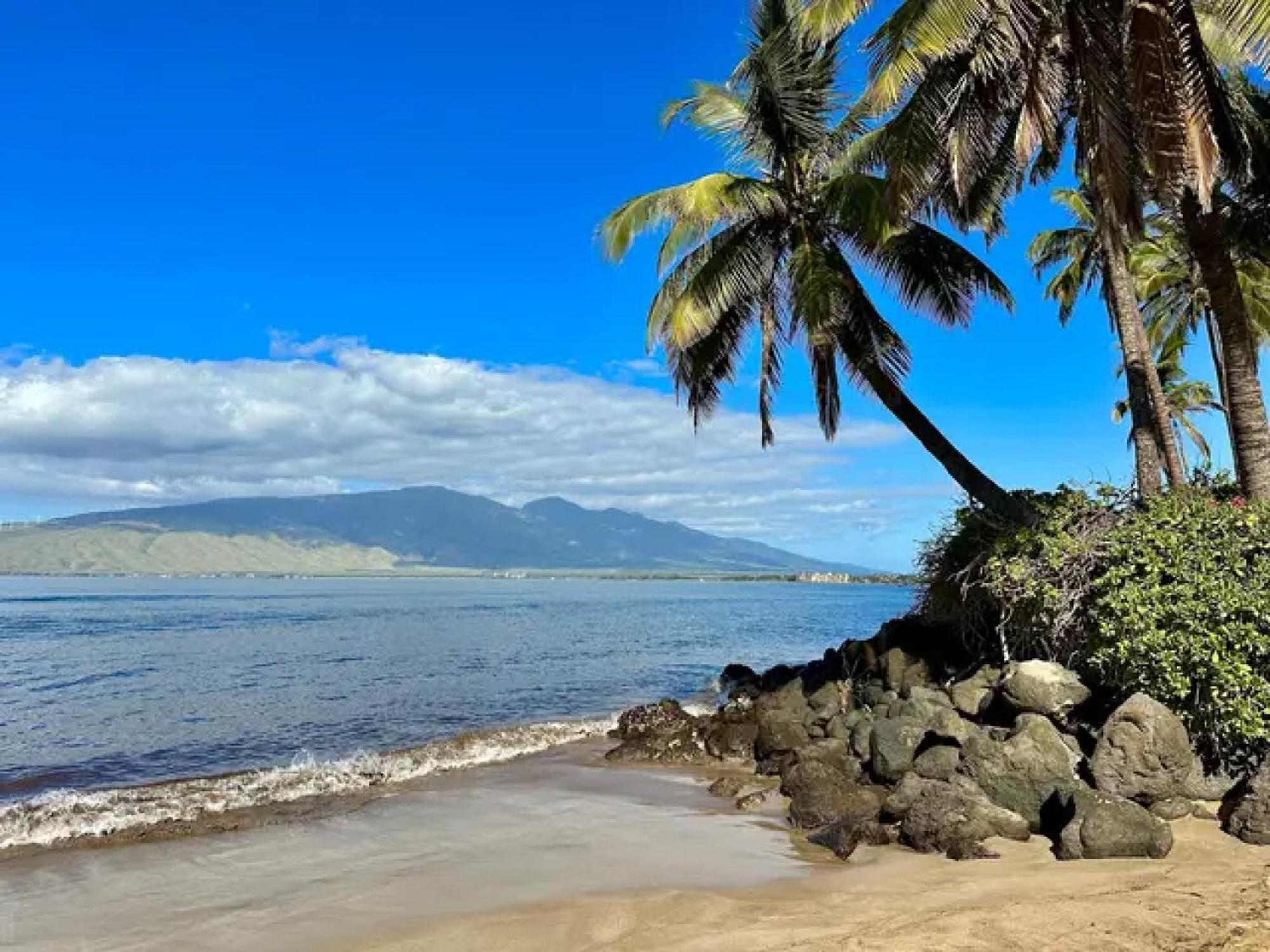3Mins Walk To Beach! Laundry, Pool, Hot Tub & More Kihei Eksteriør billede